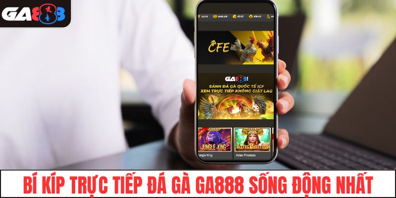 Bí kíp trực tiếp đá gà GA888 sống động nhất
