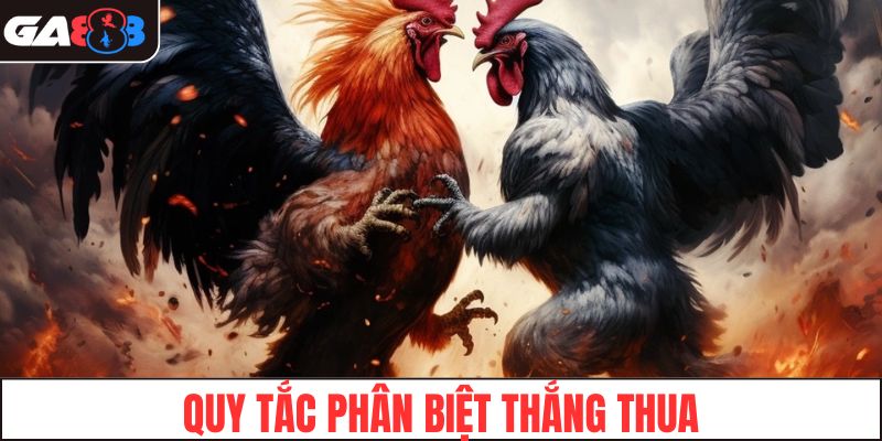 Các quy tắc phân biệt thắng thua trong đá gà Thomo
