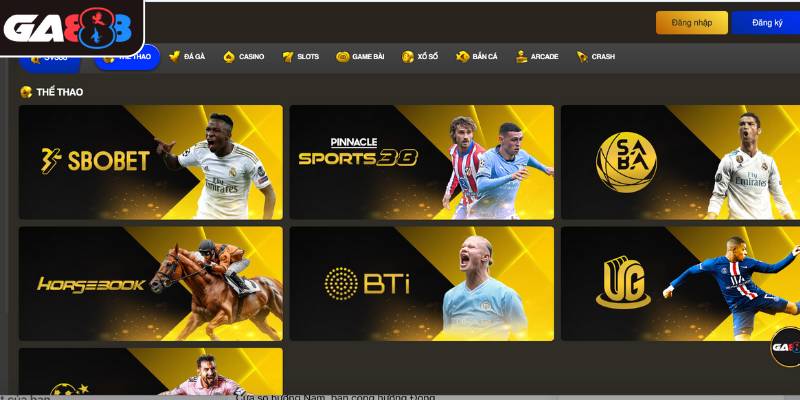 Cá cược thể thao - Thoả mãn đam mê, chiến thắng mỗi ngày