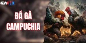 Đá Gà Campuchia GA88 - Hình Thức Cá Cược Kịch Tính Nhất 2025