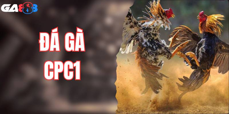 Khám Phá Đấu Trường Đá Gà CPC1 Cực Cháy Cùng Ga888