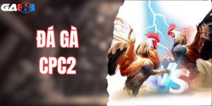 Đá Gà CPC2 GA888 - Lựa Chọn Hàng Đầu Của Dân Chơi Đá Gà