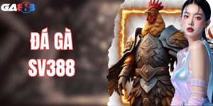 Sảnh Đá Gà SV388 - Cược Nhanh Với Tỷ Lệ Thưởng Cạnh Tranh