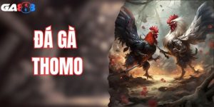 Đá Gà Thomo: Loại Hình Cá Cược Hiện Đại Nhất 2025