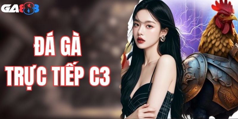 Đá Gà Trực Tiếp C3 - Sân Chơi Cá Cược Tỷ Lệ Hấp Dẫn