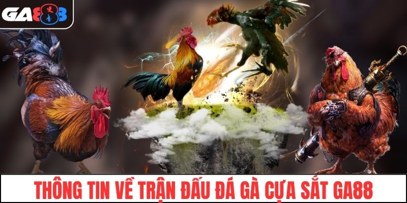 Đôi nét về trận đấu đá gà cựa sắt tại GA88