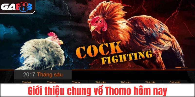 Giới thiệu chung về Thomo hôm nay