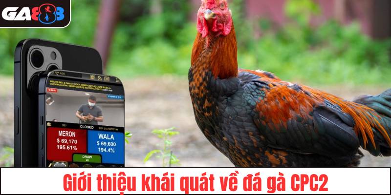 Giới thiệu khái quát về đá gà CPC2