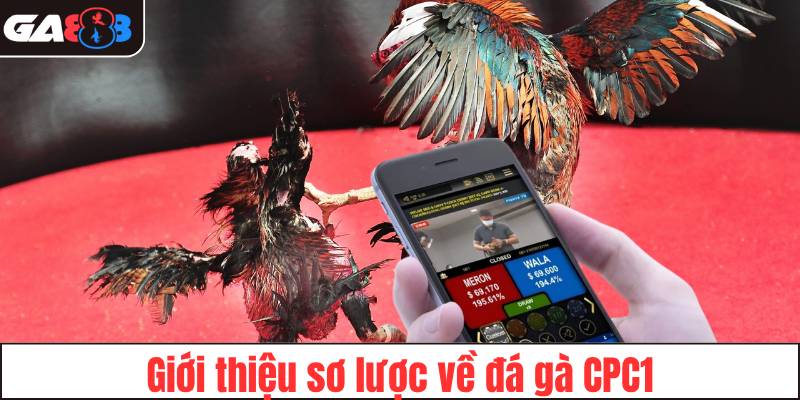 Giới thiệu sơ lược về đá gà CPC1