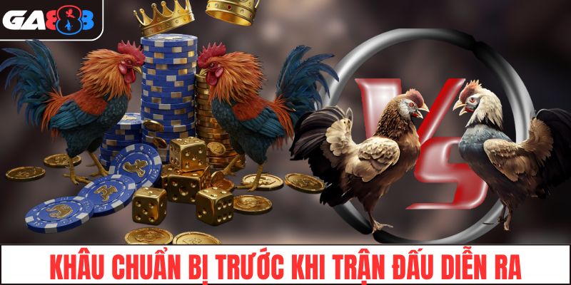 Khâu chuẩn bị trước khi trận đấu diễn ra