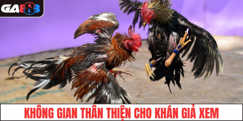 Không gian thân thiện cho khán giả xem