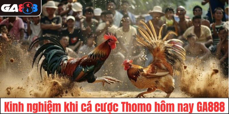 Kinh nghiệm khi tham gia cá cược Thomo hôm nay tại GA888