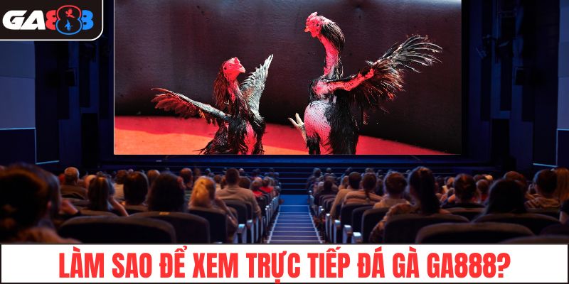 Làm sao để xem trực tiếp đá gà GA888?