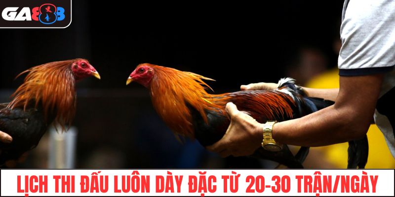 Lịch thi đấu luôn dày đặc từ 20-30 trận/ngày