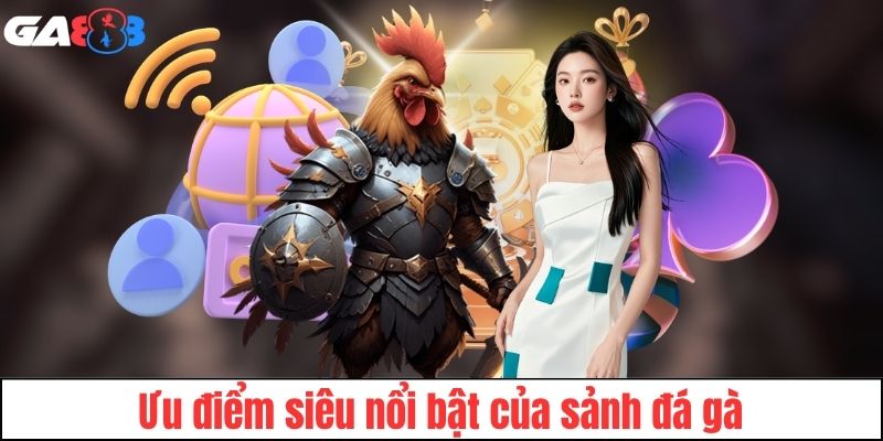 Những ưu điểm nổi bật tại sảnh đá gà