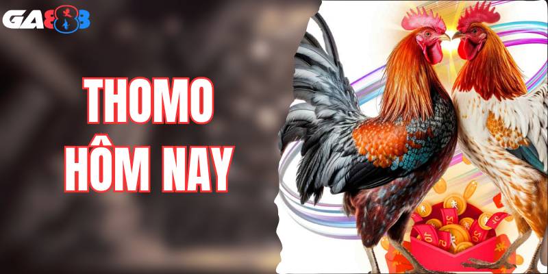 Khám Phá Cách Chơi Thomo Hôm Nay Thông Minh Tại GA888