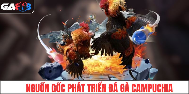 Tìm hiểu nguồn gốc phát triển đá gà Campuchia