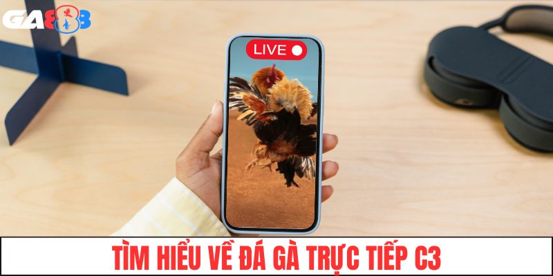 Tìm hiểu về đá gà trực tiếp C3