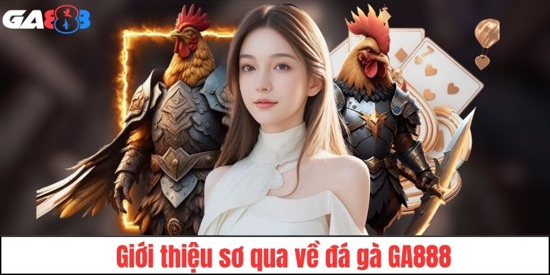 Tổng quan về sảnh đá gà GA888