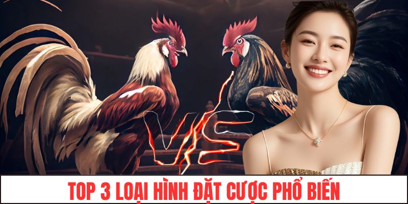 Top 3 loại hình đặc cược phổ biến tại chọi gà cựa sắt