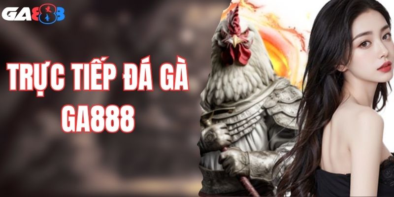 Xem Trực Tiếp Đá Gà GA888 Từ Sảnh Quốc Tế Không Giật Lag
