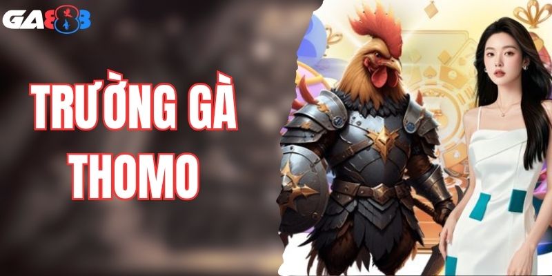Trường Gà Thomo - GA888 Độc Quyền Phát Sóng Trực Tiếp