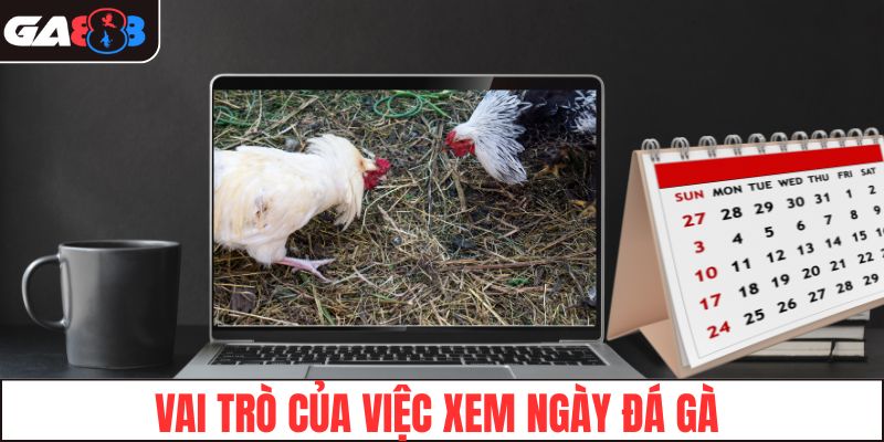 Vai trò của việc xem ngày đá gà đối với người chơi