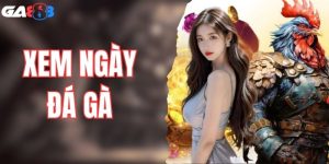 Cách Xem Ngày Đá Gà Chuẩn Giúp Tăng Tỷ Lệ Thắng Cao