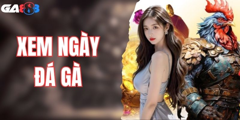 Cách Xem Ngày Đá Gà Chuẩn Giúp Tăng Tỷ Lệ Thắng Cao